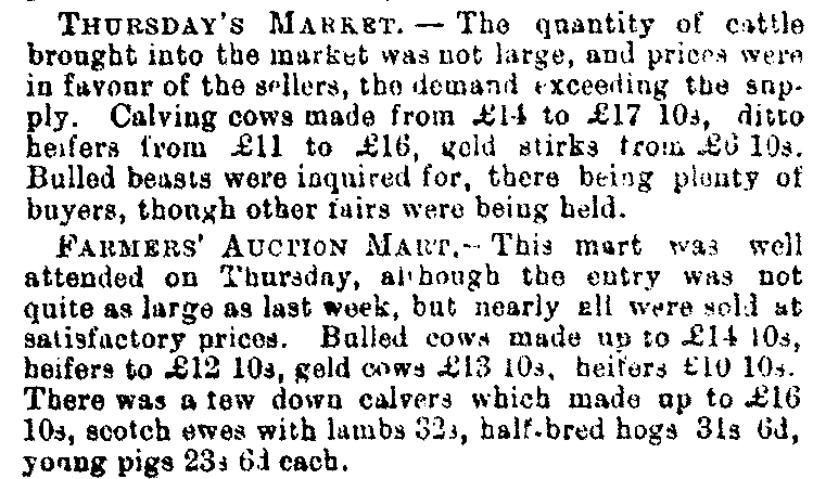 Market  1888-05-19 CHWS.JPG